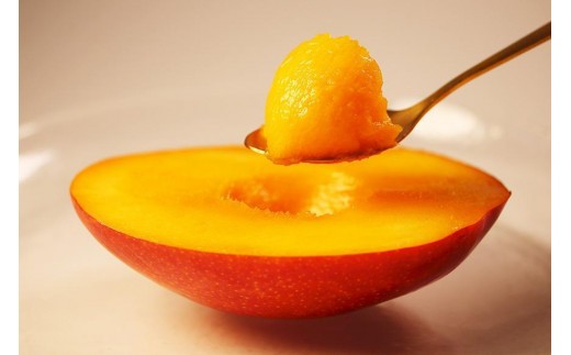 《先行予約》沖縄県宮古島産 減農薬栽培マンゴー 2kg【優品】｜贈答用・糖度14度以上！｜琉球マルシェ