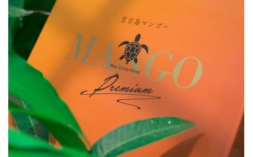 ãå
è¡äºçŽã2026幎çºéããã«ãŒã¿ãŒãã«ãã¡ãŒã ãå®®å€å³¶å®çãã³ãŽãŒ ãèŽçã (ïŒkg)ïŒDC008ïŒ