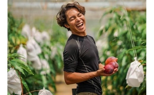 ãå
è¡äºçŽã2026幎çºéããã«ãŒã¿ãŒãã«ãã¡ãŒã ãå®®å€å³¶å®çãã³ãŽãŒ ãèŽçã (ïŒkg)ïŒDC008ïŒ