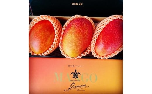 ãå
è¡äºçŽã2026幎çºéããã«ãŒã¿ãŒãã«ãã¡ãŒã ãå®®å€å³¶å®çãã³ãŽãŒ ãèŽçã (ïŒkg)ïŒDC008ïŒ