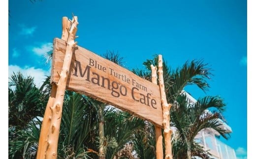 《先行予約》2026年発送【ブルータートルファーム】宮古島完熟マンゴー 【贈答】（１kg）(DC007)