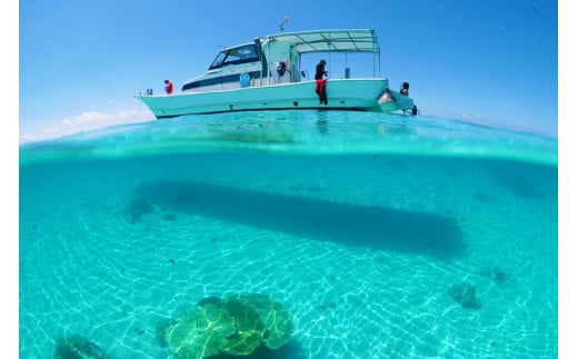 宮古島でダイビング！ファンダイビングご利用券（30,000円分）