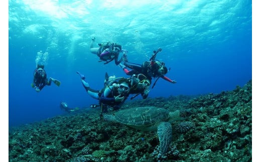 宮古島でダイビング！ファンダイビングご利用券（30,000円分）