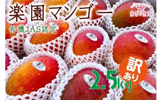 《先行予約》2026年発送 有機JAS認証マンゴー（アーウィン）わけあり 2.5kg【楽園の果実】(DQ021)