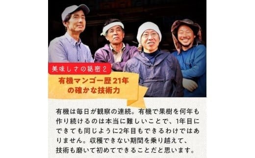 《先行予約》2026年発送 有機JAS認証マンゴー（アーウィン）わけあり 2.5kg【楽園の果実】(DQ021)