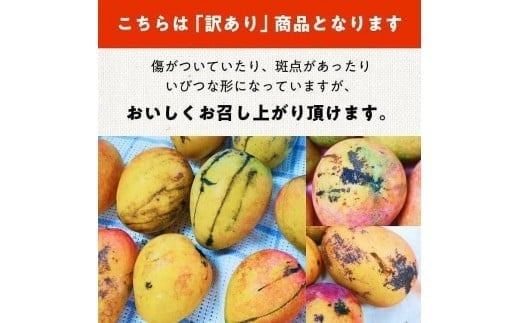 《先行予約》2026年発送 有機JAS認証マンゴー（アーウィン）わけあり 2.5kg【楽園の果実】(DQ021)