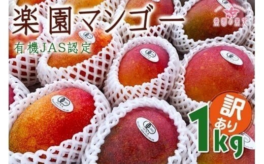 ãå
è¡äºçŽã2026幎çºéãæ¥œåã®æå®ãææ©JASèªèšŒãã³ãŽãŒïŒã¢ãŒãŠã£ã³ïŒãããã1ããïŒDQ020)