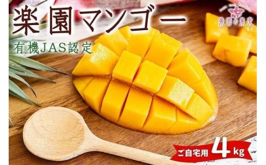 《先行予約》2026年発送 有機JAS認証マンゴー（アーウィン）ご自宅用 4kg【楽園の果実】(DQ019)