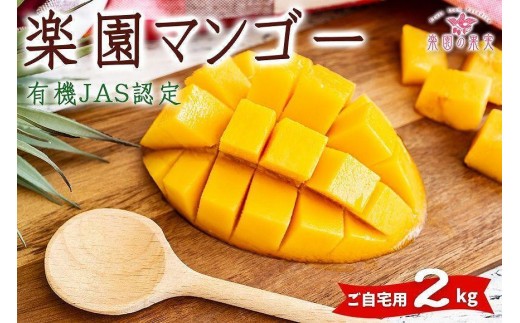《先行予約》2026年発送 有機JAS認証マンゴー（アーウィン）ご自宅用 2kg【楽園の果実】(DQ018)