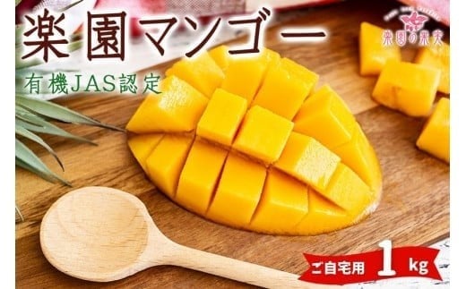 《先行予約》2026年発送 有機JAS認証マンゴー（アーウィン）ご自宅用 1kg【楽園の果実】(DQ017)