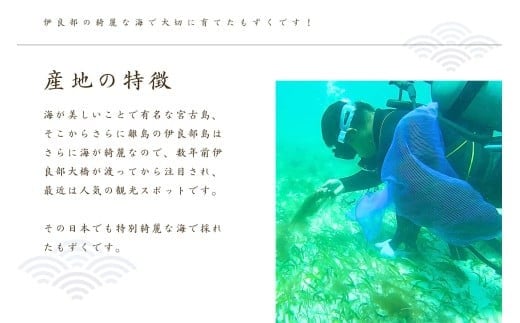 養殖もずく　5個セット（FU002） 沖縄 宮古島 ふるさと納税 おすすめ 人気 もずく モズク 海藻 ミネラル 海 食 