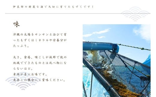 養殖もずく　5個セット（FU002） 沖縄 宮古島 ふるさと納税 おすすめ 人気 もずく モズク 海藻 ミネラル 海 食 