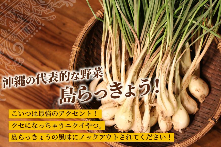 MOSESU CURRYの島カレーシリーズ　島らっきょうとひき肉のカレー 250g×6食（FP002）
