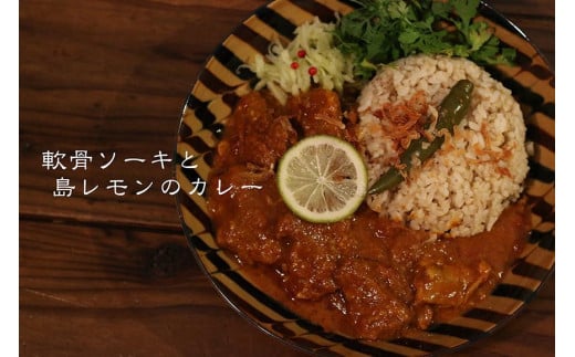 MOSESU CURRY縺ョ蟲カ繧ォ繝ャ繝シ繧キ繝ェ繝シ繧コ縲霆滄ェィ繧ス繝シ繧ュ縺ィ蟲カ繝ャ繝「繝ウ縺ョ繧ォ繝ャ繝シ 250gテ6鬟滂シFP001シ
