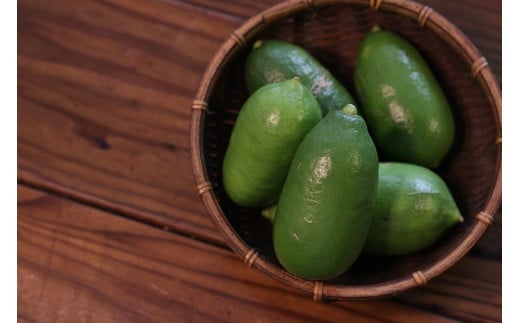 MOSESU CURRY縺ョ蟲カ繧ォ繝ャ繝シ繧キ繝ェ繝シ繧コ縲霆滄ェィ繧ス繝シ繧ュ縺ィ蟲カ繝ャ繝「繝ウ縺ョ繧ォ繝ャ繝シ 250gテ6鬟滂シFP001シ