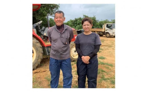 ヤム芋焼酎ずみ　レギュラータイプ、ミニボトルセット