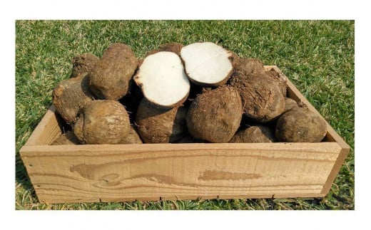 ヤム芋焼酎ずみ　レギュラータイプ、ミニボトルセット