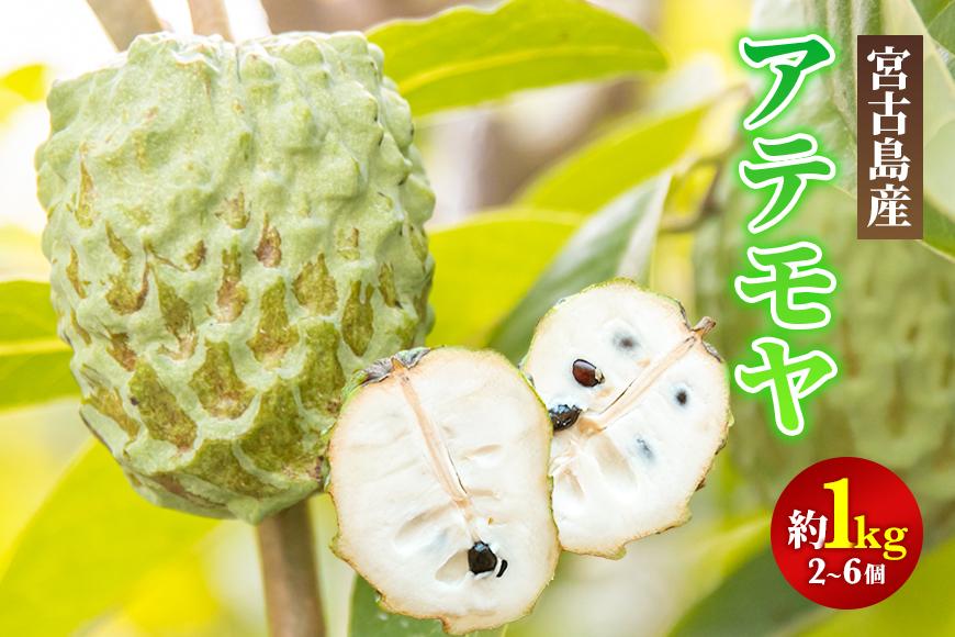 宮古島産アテモヤ約1kg（２～６個入り）（CV07）