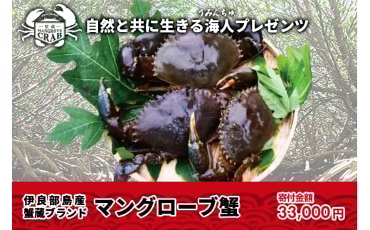 メディア出演多数！蟹蔵のマングローブ蟹