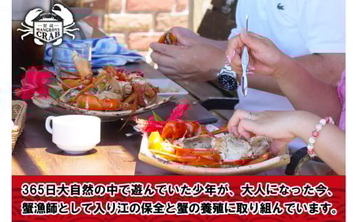 繝。繝繧」繧「蜃コ貍泌、壽焚シ∬淹阡オ縺ョ繝槭Φ繧ー繝ュ繝シ繝冶淹