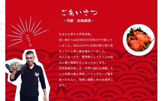 繝。繝繧」繧「蜃コ貍泌、壽焚シ∬淹阡オ縺ョ繝槭Φ繧ー繝ュ繝シ繝冶淹