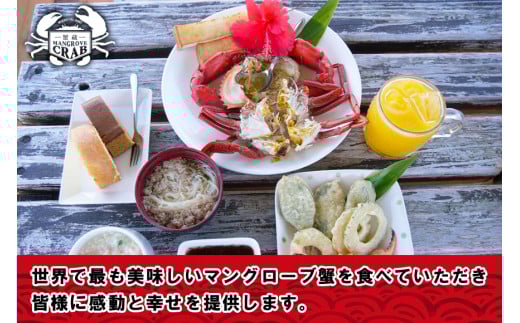 繝。繝繧」繧「蜃コ貍泌、壽焚シ∬淹阡オ縺ョ繝槭Φ繧ー繝ュ繝シ繝冶淹