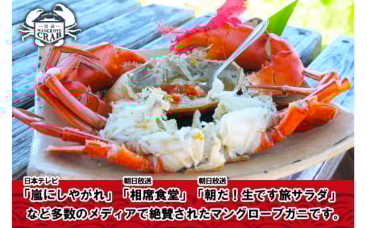 繝。繝繧」繧「蜃コ貍泌、壽焚シ∬淹阡オ縺ョ繝槭Φ繧ー繝ュ繝シ繝冶淹