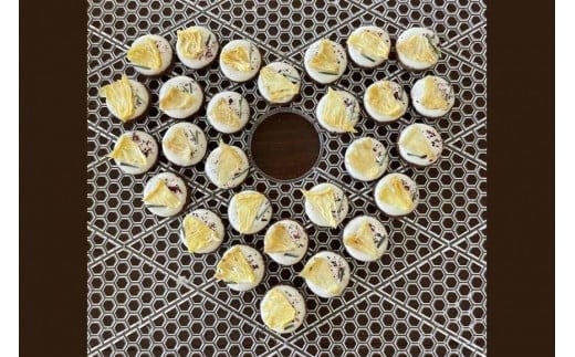 フルーツアイシングクッキー缶 （15枚入り）（FE002）