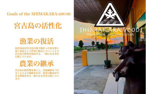 AE103 ç¯ç
§ããïŒãªãªãžãã«ïŒÃç¯ç
§ãã ã·ãŒã¯ã¯ãŒãµãŒïŒãã¬ãã¢ã ïŒã»ãã