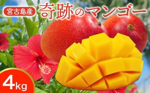 CZ014《先行予約2026年発送》【宮縁果樹園】宮古島産　奇跡のマンゴー　4kg　お手頃