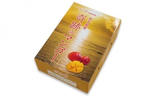 CZ013《先行予約2026年発送》【宮縁果樹園】宮古島産　奇跡のマンゴー　4kg　優品