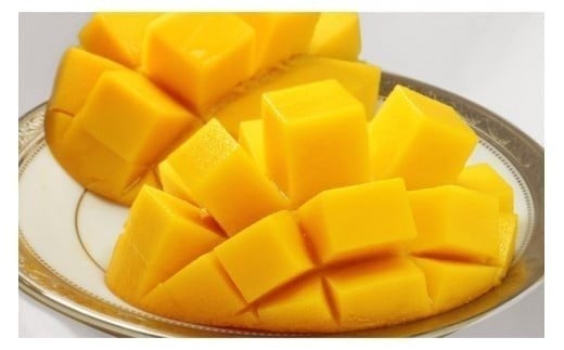 CZ010《先行予約2026年発送》【宮縁果樹園】宮古島産　奇跡のマンゴー　1kg　お手頃