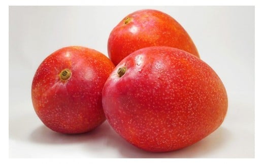 CZ009 ãå
è¡äºçŽ2026幎çºéã ãå®®çžææš¹åã å®®å€å³¶ç£ å¥è·¡ã®ãã³ãŽãŒã1kgãåªå