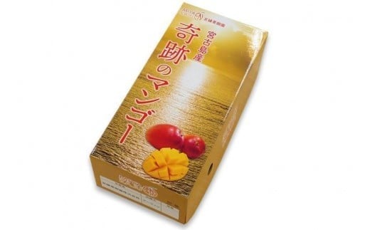 CZ009 ãå
è¡äºçŽ2026幎çºéã ãå®®çžææš¹åã å®®å€å³¶ç£ å¥è·¡ã®ãã³ãŽãŒã1kgãåªå