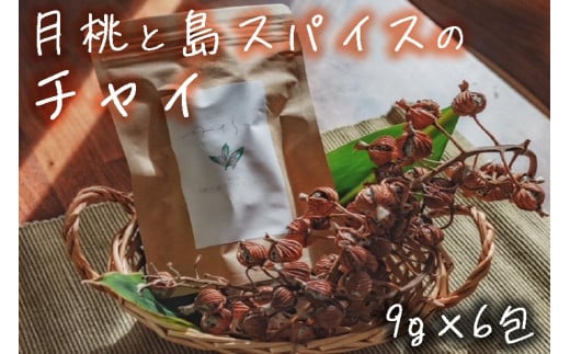 å®®å€å³¶ ãããã³ãææ¡ãšå³¶ã¹ãã€ã¹ã®ãã£ã€