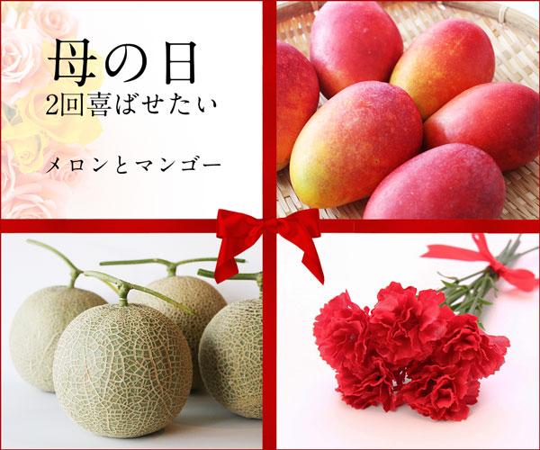 【沖縄フルーツ定期便】母の日ギフトのメロン＆夏ギフトマンゴー｜全2回｜宮古島産 ＜琉球マルシェ＞