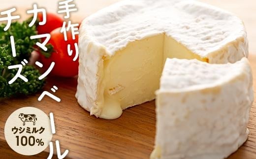 繧ォ繝槭Φ繝吶シ繝ォ繝√シ繧コ縲檎舞縺ャ譛医恒ari nu Tuki