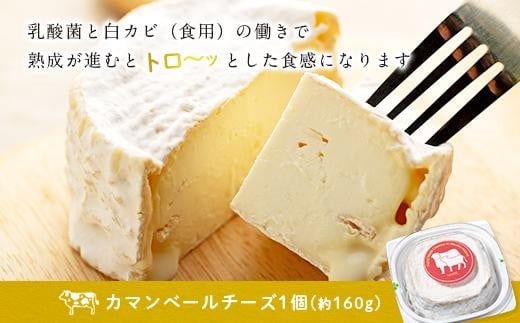 繧ォ繝槭Φ繝吶シ繝ォ繝√シ繧コ縲檎舞縺ャ譛医恒ari nu Tuki