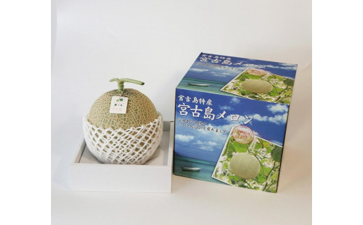 æ²çžçå®®å€å³¶ç£ æ¥ã¡ãã³ãç¹å€§ïŒçãïœèŽççšã»é«çŽã»èµ€èã¡ãã³ïŒççãã«ã·ã§ïŒ