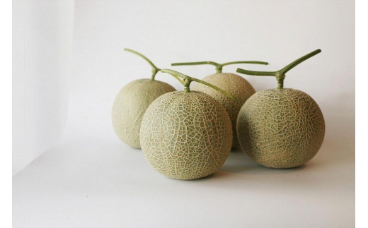 æ²çžçå®®å€å³¶ç£ æ¥ã¡ãã³ãç¹å€§ïŒçãïœèŽççšã»é«çŽã»èµ€èã¡ãã³ïŒççãã«ã·ã§ïŒ