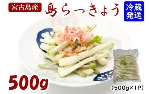 島らっきょう（500g）AZ106