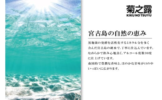 P108　菊之露ブラウン（2本セット）