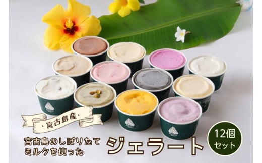 ジェラート12個セット | トロピカル 夏ギフト お中元 夏 クリスマス アイス 詰め合わせ セット ジェラート おやつ お菓子 スイーツ