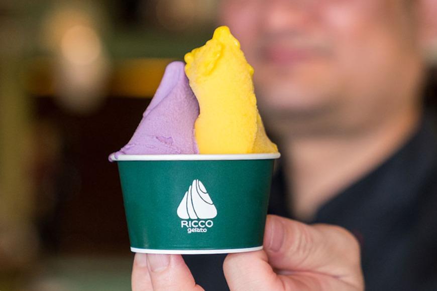 [宮古島] 素材が輝く RICCOジェラート12個セット | トロピカル 夏ギフト お中元 夏 クリスマス アイス 詰め合わせ セット ジェラート おやつ お菓子 スイーツ 母の日（C101）