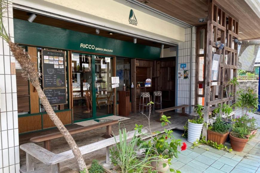 [宮古島] 素材が輝く RICCOジェラート12個セット | トロピカル 夏ギフト お中元 夏 クリスマス アイス 詰め合わせ セット ジェラート おやつ お菓子 スイーツ 母の日（C101）