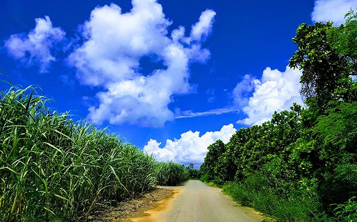 黒糖＆バナナスイーツ作り体験