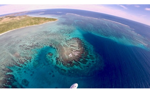 【そら飛びゆうらんフライト】大空散歩で宮古島の空と海を大満喫＜10分コース＞(AU101)