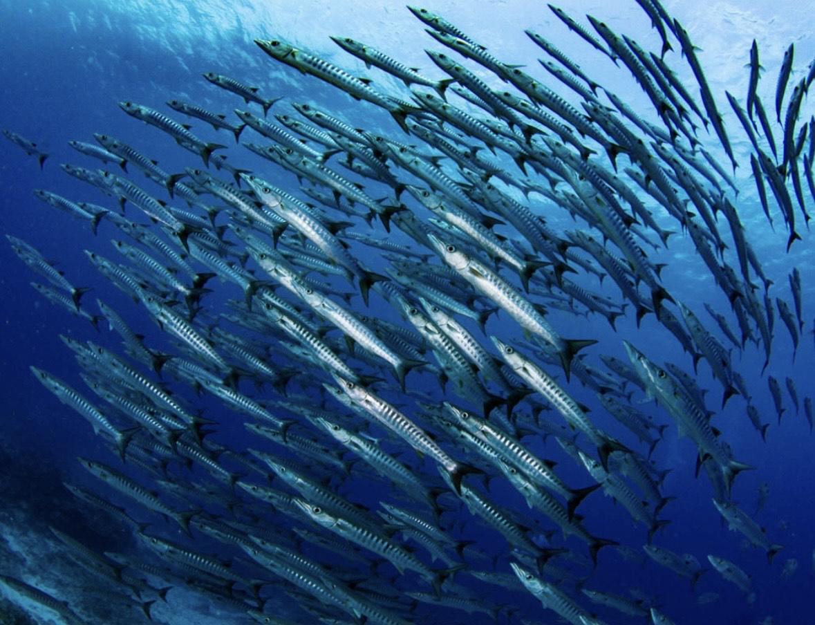 繝繧、繝薙Φ繧ーYouTuber Totty縺ョ縺雁コ暦シシ薙ム繧、繝厄シ磯ュ皮視縺ョ螳ョ谿ソ縺ェ縺ゥシ隠IGHOLIDAYシDB01シ