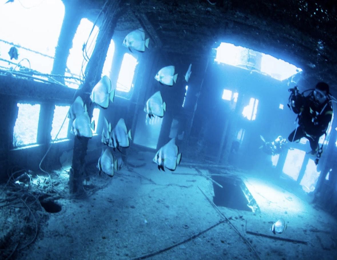 繝繧、繝薙Φ繧ーYouTuber Totty縺ョ縺雁コ暦シシ薙ム繧、繝厄シ磯ュ皮視縺ョ螳ョ谿ソ縺ェ縺ゥシ隠IGHOLIDAYシDB01シ