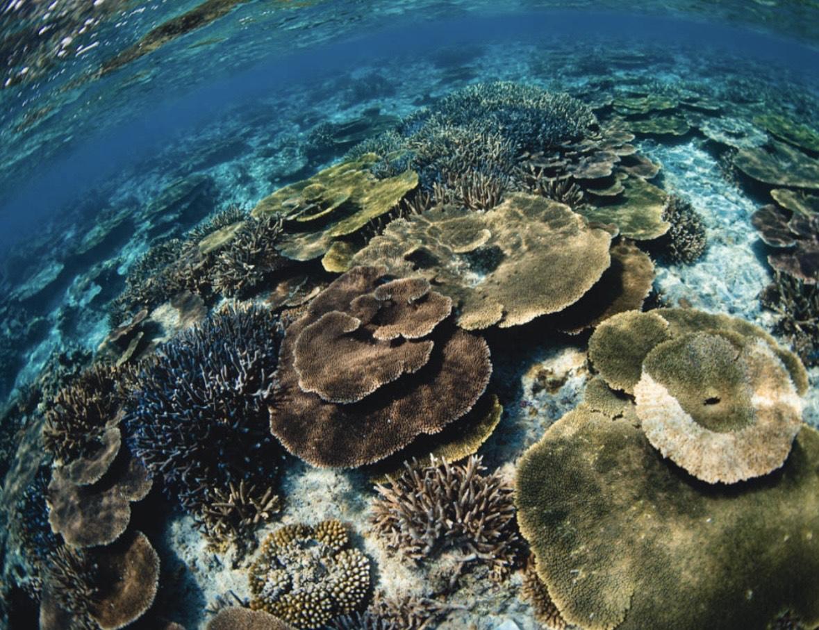 繝繧、繝薙Φ繧ーYouTuber Totty縺ョ縺雁コ暦シシ薙ム繧、繝厄シ磯ュ皮視縺ョ螳ョ谿ソ縺ェ縺ゥシ隠IGHOLIDAYシDB01シ